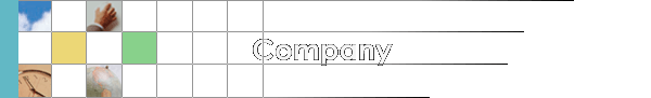 Company